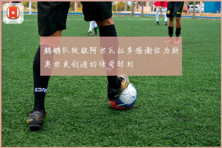 鹈鹕队致敬阿尔瓦拉多感谢你为新奥尔良创造的传奇时刻